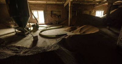 KE, Polska i inne europejskie kraje zapowiadają 1 mld euro na wsparcie eksportu zbóż z Ukrainy