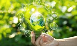 Szkolenie on-line "Opakowania i odpady  opakowaniowe - zmiany wynikające z nowelizacji ustawy oraz wprowadzenia przepisów  dotyczących rejestru i BDO, opłaty za korzystanie ze środowiska - omówienie podstawowych obowiązków" - 07.12.2022 r.