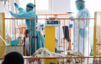 W wielu miastach oddziały pediatryczne są obłożone. Powodem kumulacja zachorowań na COVID-19, grypę i RSV