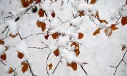 Synoptyk IMGW: do Polski w nocy wkroczy biała zima