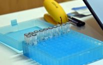 685 zakażeń koronawirusem, zmarło 17 osób z COVID-19