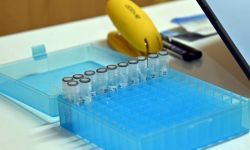 685 zakażeń koronawirusem, zmarło 17 osób z COVID-19