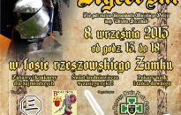 Rycerze u bram Zamku - piknik rycerski w Rzeszowie