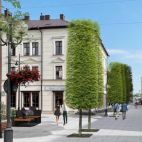 W 2023 remont Grunwaldzkiej. Ma powstać deptak pełen drzew