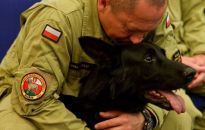 Polscy strażacy ruszą z pomocą do Turcji w poszukiwaniu ofiar trzęsienia ziemi