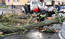 W sobotę w związku z silnym wiatrem strażacy otrzymali 3387 zgłoszeń