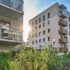 Skrawek trawy to nie wszystko. Jakich mieszkań szukają dziś Polacy?