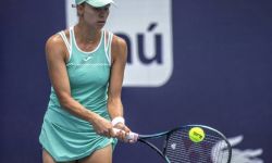 Turniej WTA w Miami - Linette przegrała z Pegulą