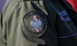 SG: zatrzymano Gruzina który organizował przerzut cudzoziemców przez granicę z Białorusią