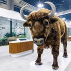 Można już kupić bilet do Centrum Nauki Łukasiewicz