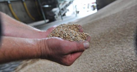 Minister rolnictwa: będą kolejne transze na skup zboża przez RARS