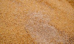 MSZ ukrainy: przekazaliśmy ambasadzie RP i przedstawicielstwu UE noty w związku z ograniczeniem importu produktów rolnych