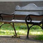 Ratusz zachęca sąsiadów: złóż wniosek o miniogród z ławką