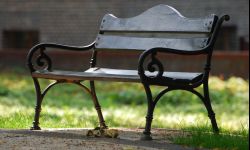 Ratusz zachęca sąsiadów: złóż wniosek o miniogród z ławką