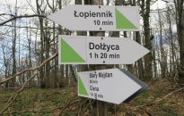 Bieszczady. Na Łopiennik nowym szlakiem z Cisnej