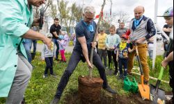W piątek #Sadzimy Rzeszów. Piknik w Parku Papieskim