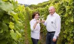 Podkarpacie winem słynące