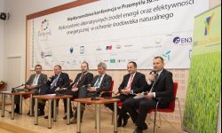 Zielona Dolina - sposób Przemyśla na inwestorów