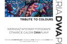 Fot. Galeria Dwa Plany