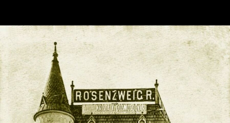 Nagyvárad, Casa Goldstein