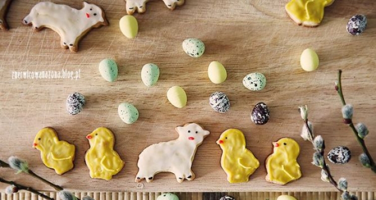 Fot. Marta Filipowicz / mia-art.pl