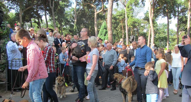 Fot. Renata Kwiatkowska