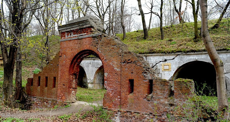 Fot. Dariusz Delmanowicz