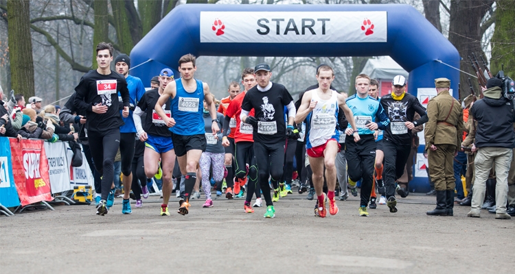 Fot. http://tropemwilczym.pl/