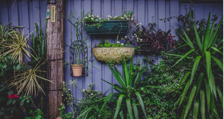 Najlepiej kupować ziemię dedykowaną określonym roślinom. Fot. Pixabay