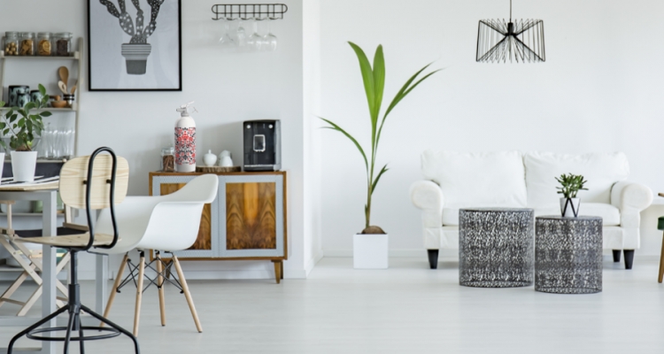 Fot. Materiały prasowe