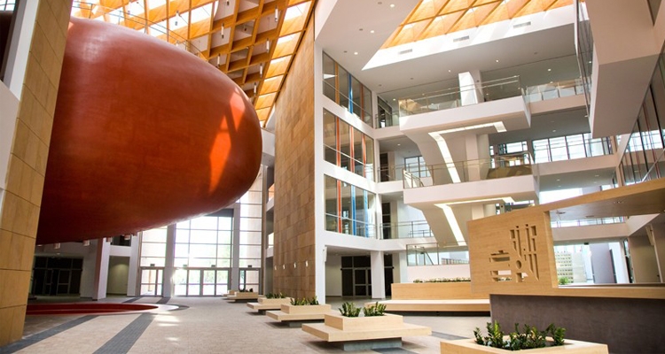 Fot. Tadeusz Poźniak