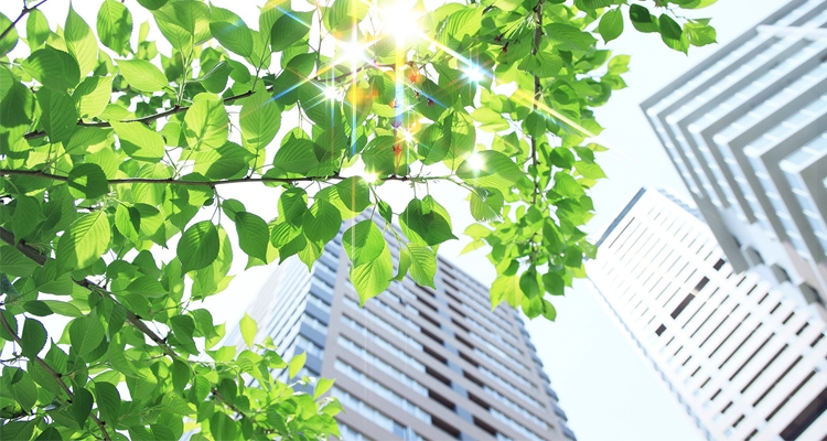 Niekonstytucyjny termin ustawowy na zgłoszenie roszczeń właścicieli nieruchomości w związku z ochroną środowiska