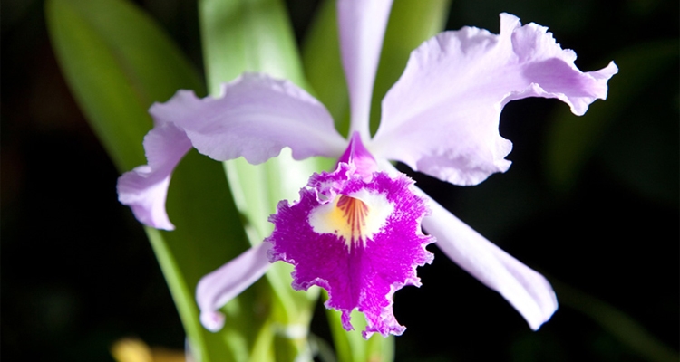 Fot. Tadeusz Poźniak