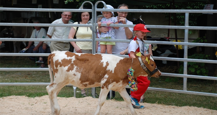 Fot. Archiwum MIB Krasne